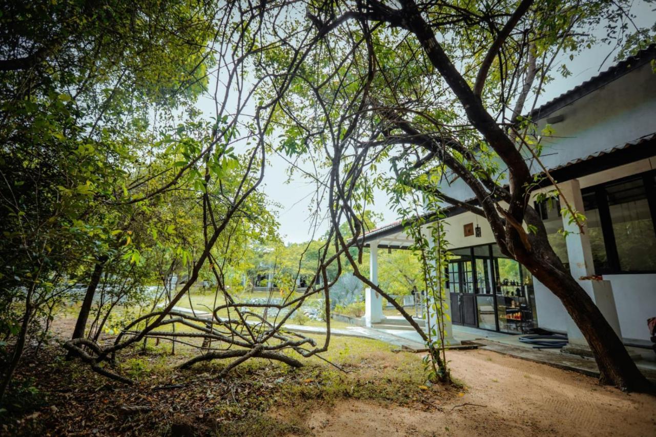 Hotel Sigiriya Kele Exterior foto